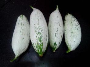 大脑眼中的视觉 