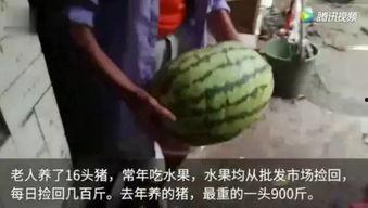 小鱼易连视频会议app下载 